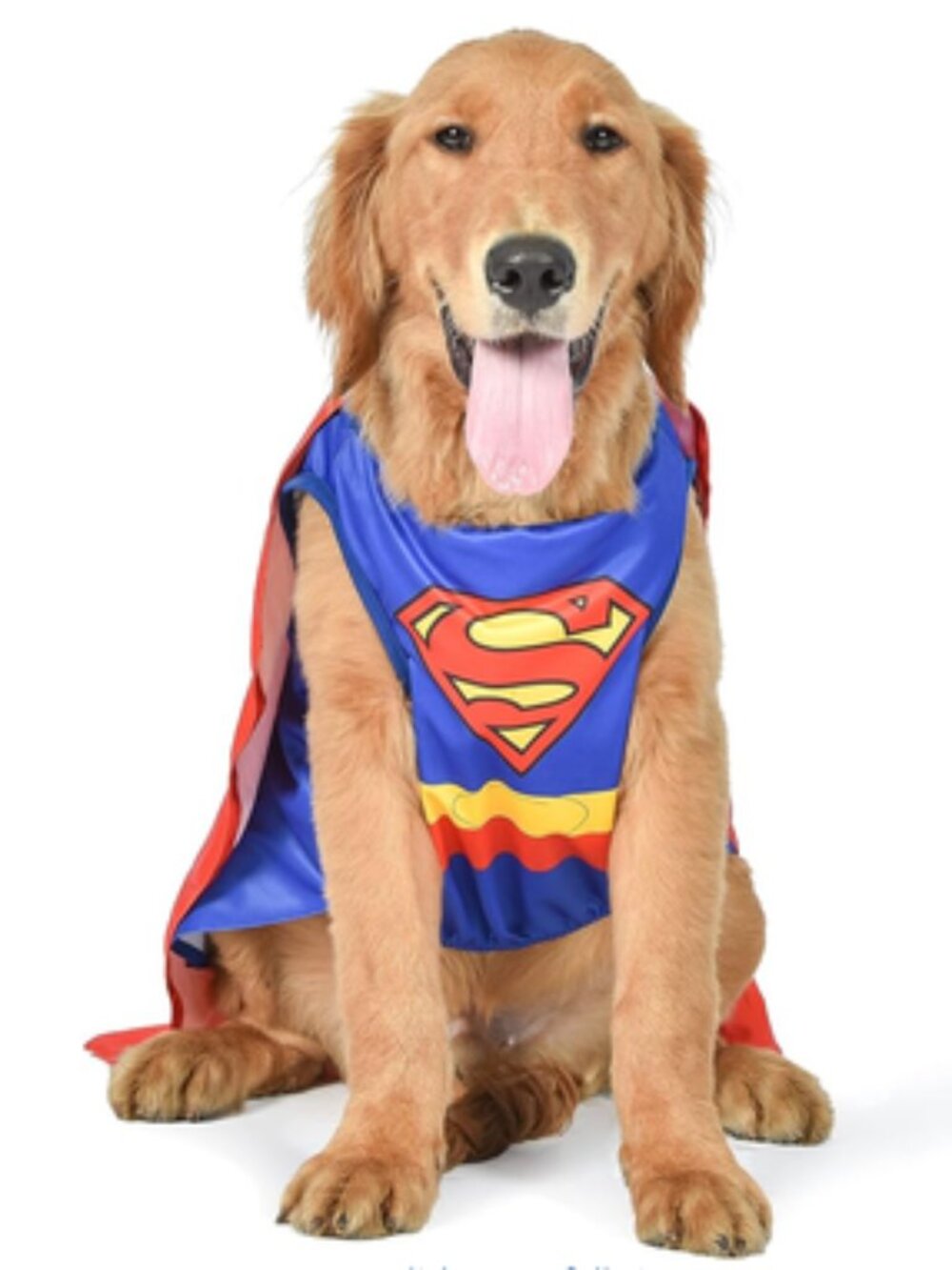 NWT ~ DC Comics Superhero Superman Halloween Dog Costume - Small